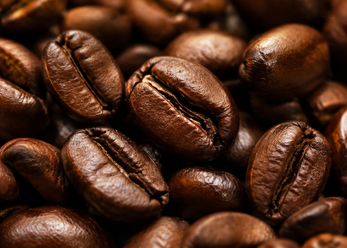 HOME ELECTRIC ROASTER